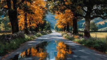 Serene autumn road lined with vibrant trees and reflections in a tranquil puddle near a peaceful countryside landscape photo
