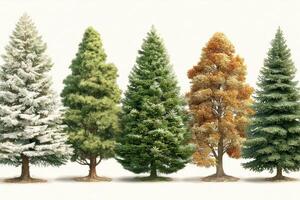Seasonal transformation of trees showcasing diverse foliage and colors in a serene, natural setting photo