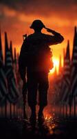 Soldier saluting at sunset surrounded by flags in a somber tribute to bravery and sacrifice photo