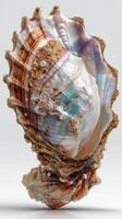 Unique abalone shell showcasing iridescent colors and delicate pearls displayed on a plain background photo