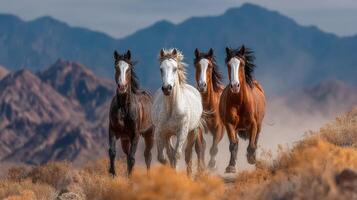 Wild horses gallop in a desert landscape surrounded by mountains under a cloudy sky during daylight hours photo