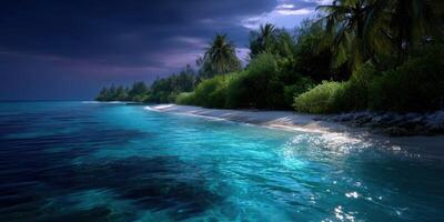 Serene tropical beach under a starry night sky with gentle waves lapping at the shore photo