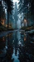 Misty forest landscape with trees and reflective water during twilight hours photo