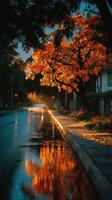 Vibrant orange tree glows along a quiet street after rain at dusk in a serene neighborhood photo