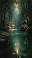 Enchanting forest stream illuminated by sunlight shining through trees at midday photo