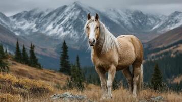Majestic white horse stands in a rugged mountain landscape under overcast skies during autumn photo