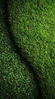 Vibrant green grass and foliage forming a natural border in a sunny outdoor setting during daytime photo