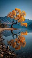 Golden autumn tree reflecting in calm lake under clear blue sky in mountains photo