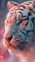 Stunning profile of a white tiger showcasing its striking features in a colorful background during twilight photo