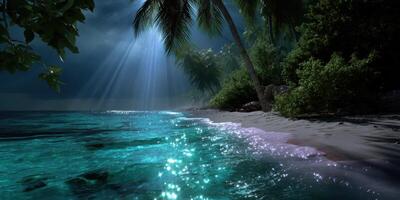 Calm tropical beach at night with shimmering water and moonlight illuminating the shoreline photo