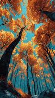 Trees with vibrant orange leaves reaching toward a clear blue sky in a serene forest at midday photo