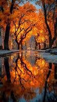 Autumn foliage reflects in tranquil water along a tree-lined street at dusk photo