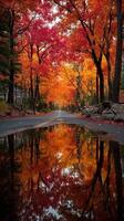 Vibrant autumn trees creating a stunning reflection on a quiet road in a rural area during fall season photo