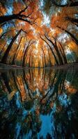 Autumn trees reflect in calm water creating a vibrant natural landscape in a serene setting photo