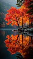 Vibrant autumn tree reflects in calm lake surrounded by mountains at dawn photo