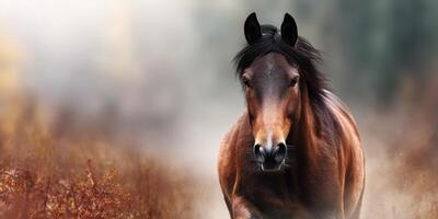 Majestic brown horse galloping through a misty landscape with autumn foliage in the background photo