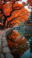 Autumn foliage reflects in tranquil waters along canal lined with glowing lanterns photo