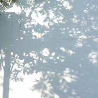 Shade Symphony, Trees Composing Shadows on the Wall photo