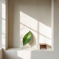 photo of leaves lying in a room and being exposed to sunlight