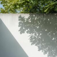Branches in Shadow, A Walls Quiet Canvas photo
