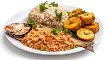 A plate of rice, fish and vegetables with a side of rice photo