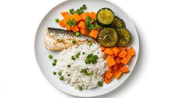 A plate with rice, vegetables and fish photo