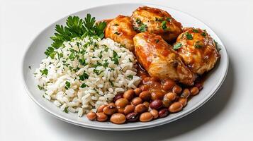 Chicken and beans with rice and beans photo