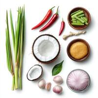 Various ingredients for thai food, including garlic, ginger, green onions, and coconut milk photo