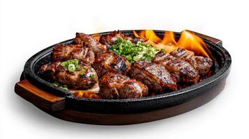 A pan with meat and vegetables on fire photo