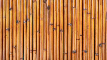Panoramic background bamboo texture with natural patterns photo