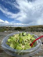 Fresh salad in transparent plastic plate with red plastic fork on lake background, vertical photo