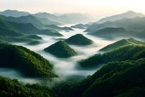 Fog is covering green hills at sunrise creating a beautiful landscape photo