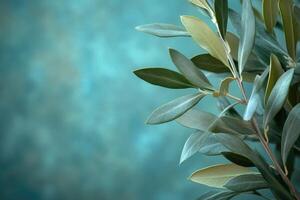 Olive branches creating frame on textured teal background for design or invitation photo