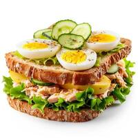 Big tuna sandwich topped with sliced boiled eggs and cucumber on whole wheat bread photo