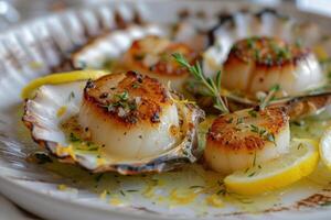 Seared scallops with lemon and thyme resting on shells photo