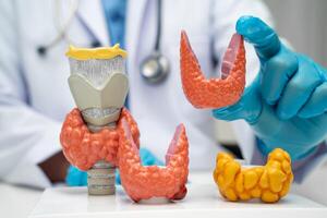 Hyperthyroidism Overactive Thyroid, Thyroid Lymphoma, Asian doctor with thyroid gland human anatomy photo