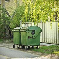 green trash containers in sunlit street near fence with birch tree branches and greenery photo