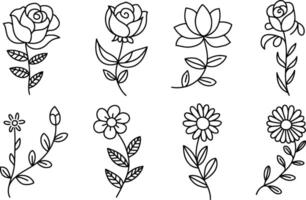 Floral line art collection with roses daisies and lotus flowers vector