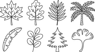 Collection of various tree leaves in simple line art style illustration vector