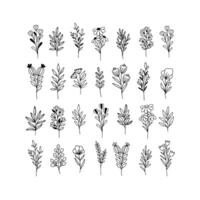 Wildflower line art set. Flower garden elegance botanical collection. Hand drawn herbal and meadow plants illustration on white background. Daisy, twigs botany, grass, branch for summer decor. vector