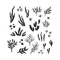 Whimsical corals and seaweed drawing vector