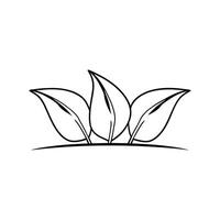 Simple Line Art of Three Leaves vector