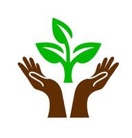 Hands holding sprout icon. A graphic symbolizing environmental care, growth, and natural nurturing. vector