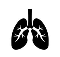 Lungs respiratory system outline. A minimalist outline graphic of human lungs, representing respiratory health and essential bodily function. vector