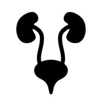 Urinary system organs graphic. A stylized graphic of kidneys and a bladder in black outline, representing renal health and anatomical structures. vector