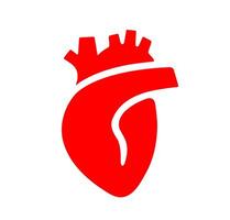 Anatomical heart vibrant red. A stylized, solid red graphic of a human heart, representing cardiology, emotion, and vital health. vector