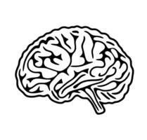 Detailed brain lobe outline. An intricate outline graphic of a human brain with clearly defined lobes, emphasizing neurological and anatomical precision. vector