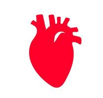 Vibrant red anatomical heart. A solid red, stylized graphic of a human heart, representing cardiology, vitality, and health. vector