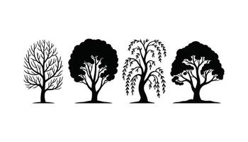 Silhouette Set of Different Tree Types Seasonal and Botanical Collection vector