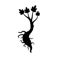 Silhouette of Twisted Mandrake Root png